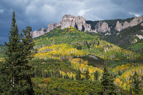 Owl Creek View
