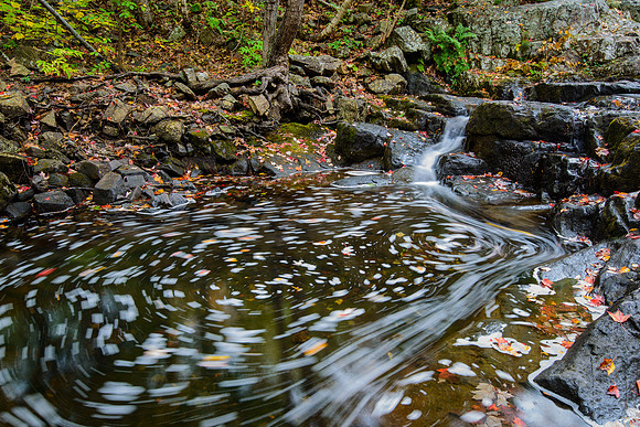 Autumn Swirl