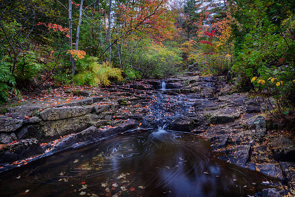 Autumn in Acadia