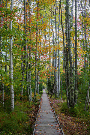 Jessup Path