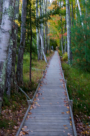 A Ghostly Path