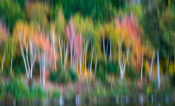 Beaver Pond Abstract