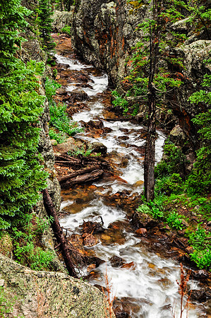 Rocky Mountain River