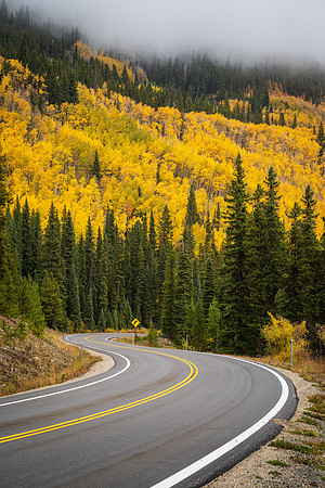 Curve Ahead