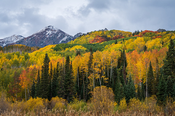 Seasons Collide