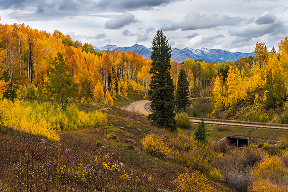 Fall Colors on Kebler Pass