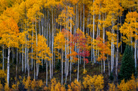 Colorado