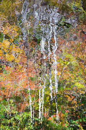 Deep Creek Abstract