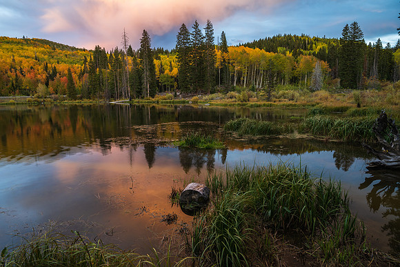 Grand Mesa National Forest