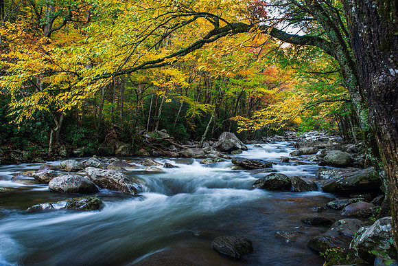 A River Runs Through Great Smoky Mountains National Park