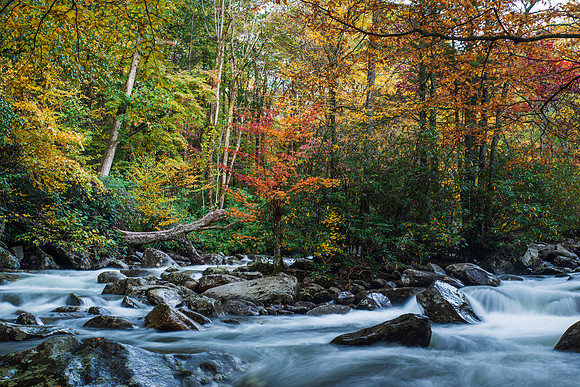 Autumn Colors in  the Great Smoky Mountains