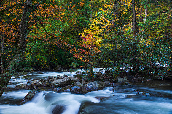 Fall in the Great Smoky Mountains