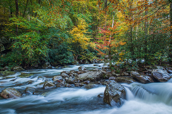 Cascades in the Great Smoky Mountains