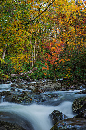 Cascades in Great Smoky Mountains National Park
