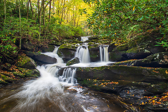 Lynn Camp Prong in Great Smoky Mountains National Park