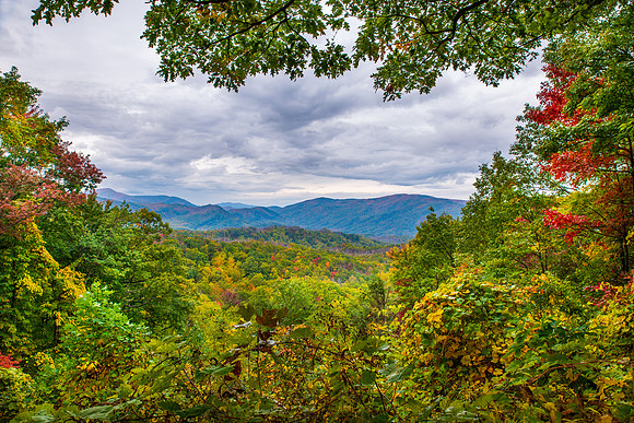 Roaring Fork Motor Nature Trail Vista