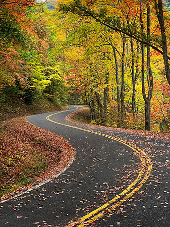 Country Road in the Great Smoky Mountains