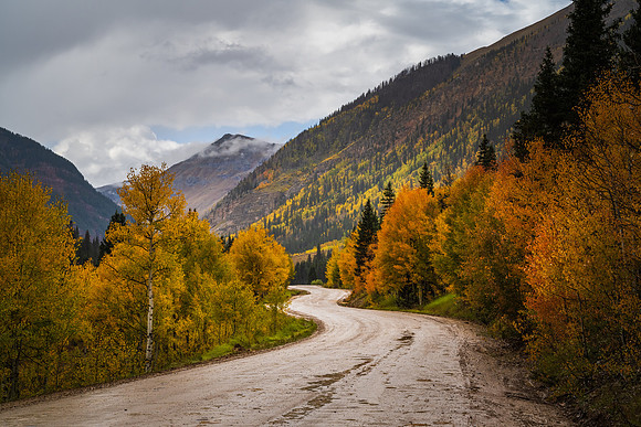 Moody Fall Day