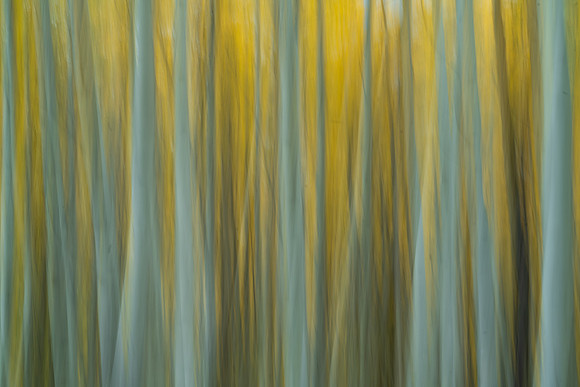 Owl Creek Abstract